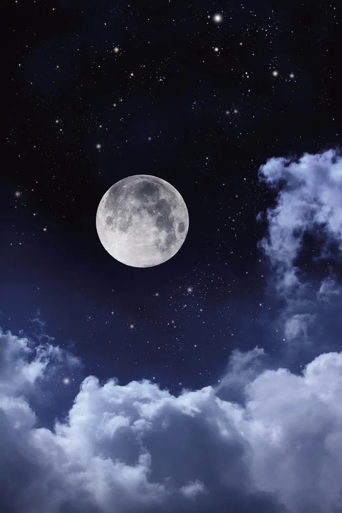 The night sky