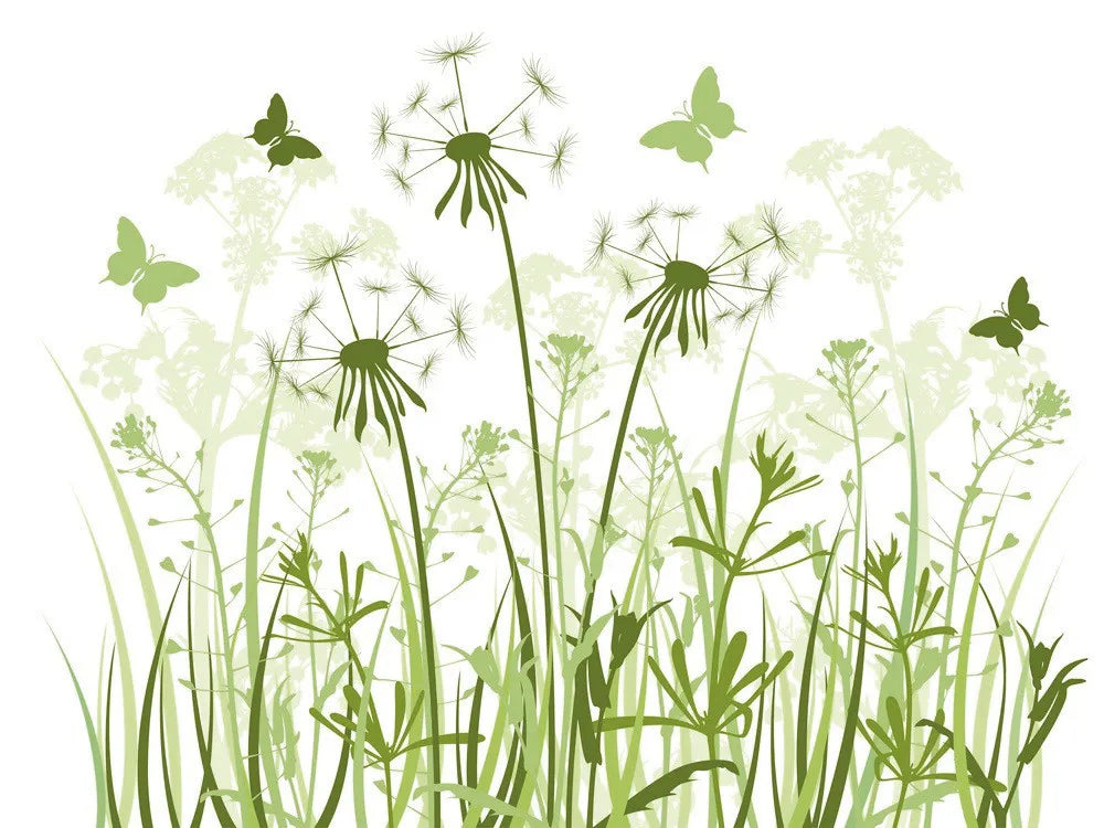 Dandelion in the grass
