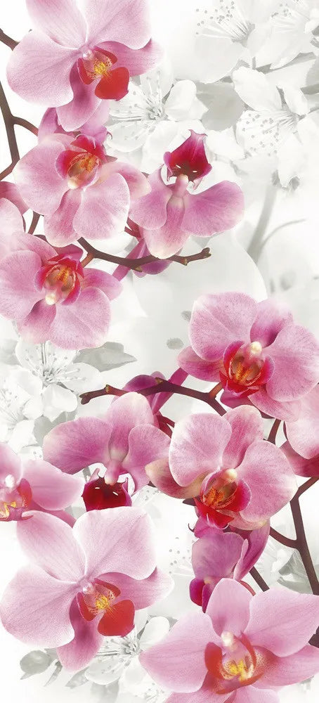 orchid