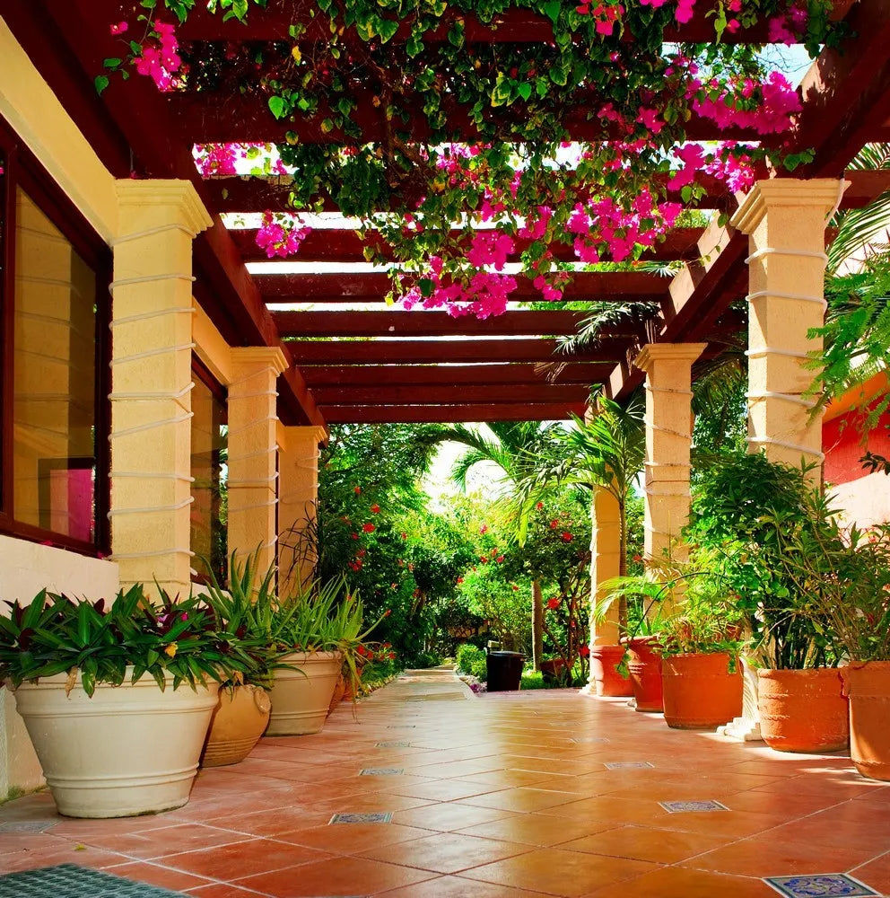 Terrace in colors
