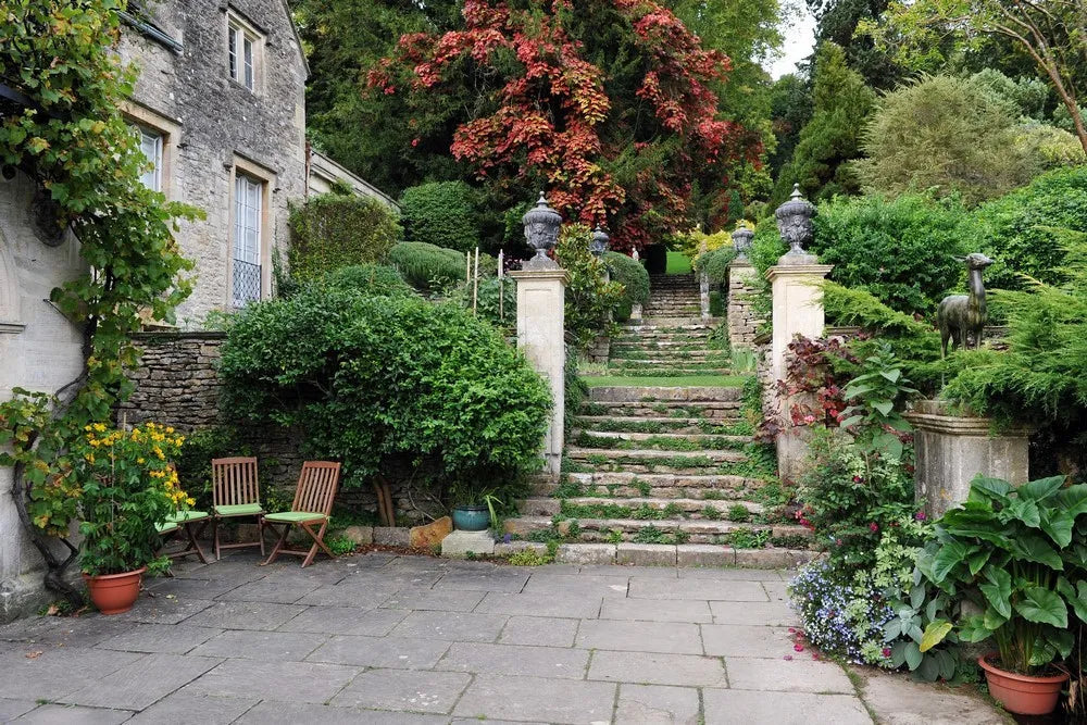 Garden in London