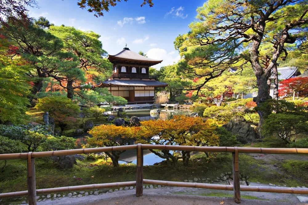 Garden in Kyoto, Japan