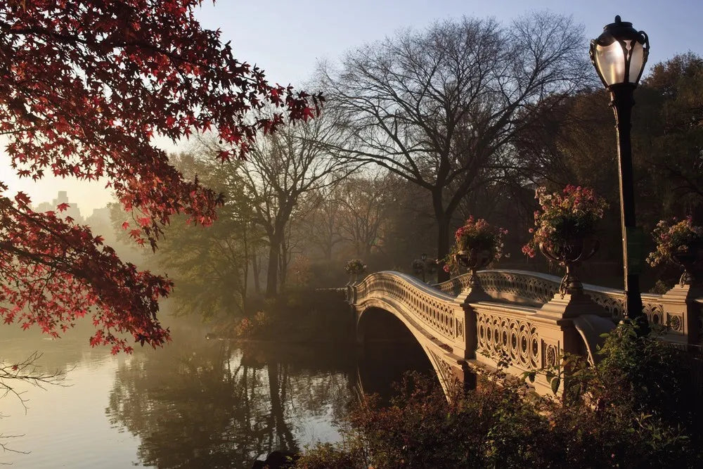 The bridge in the Park