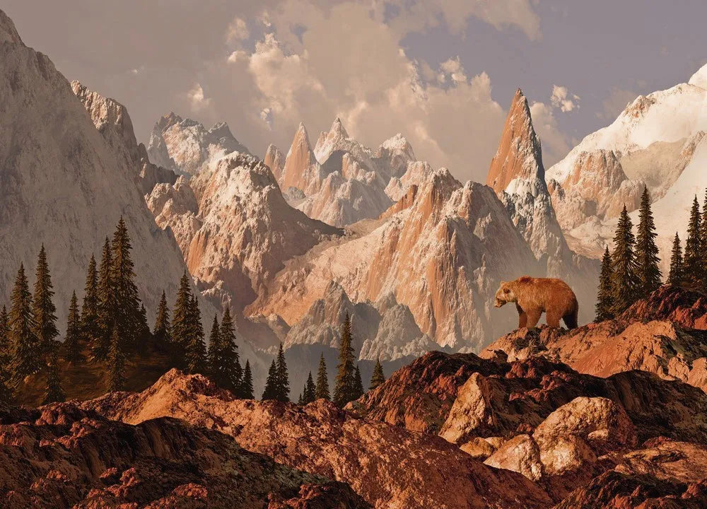 Bear in the mountains