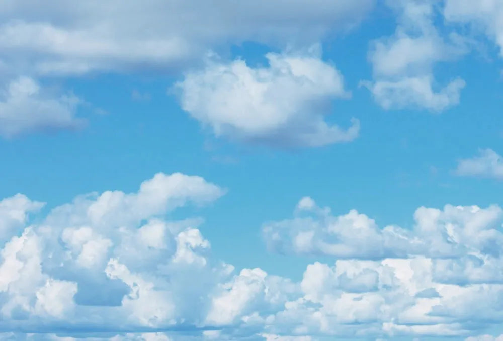 The sky