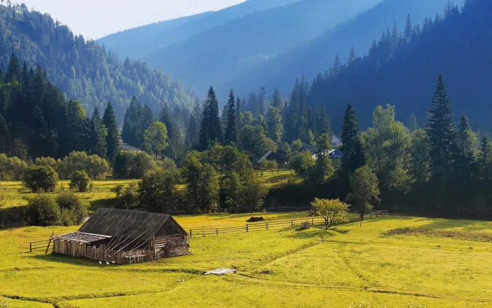 Farm in the mountains
