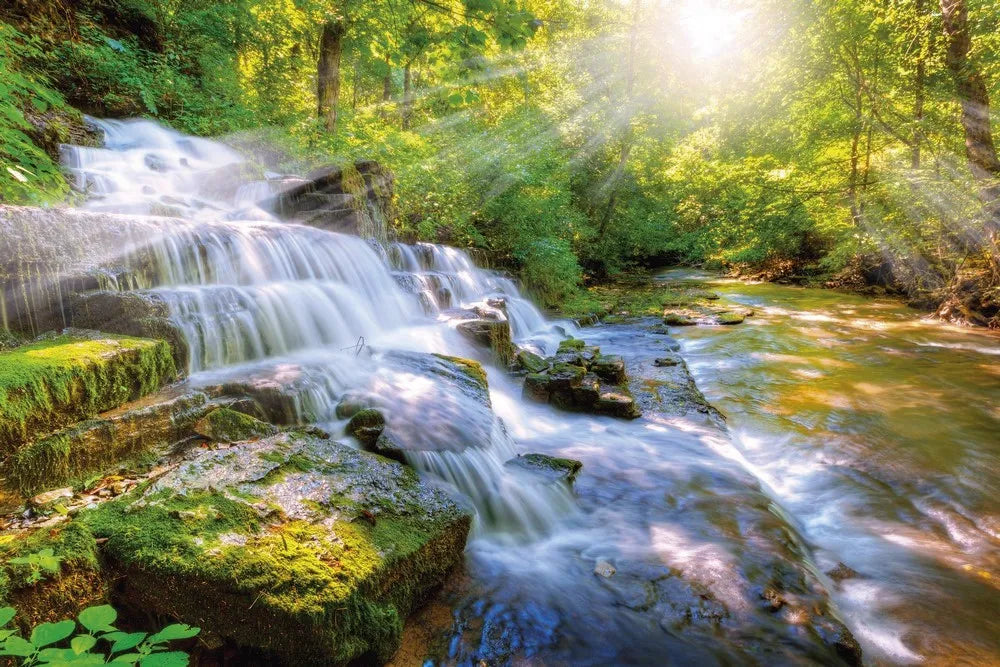 Mountain river in the forest