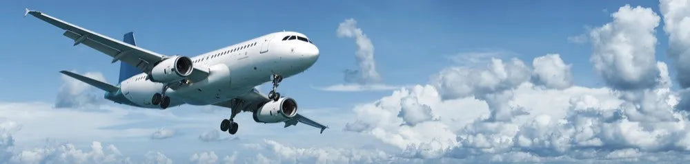The plane