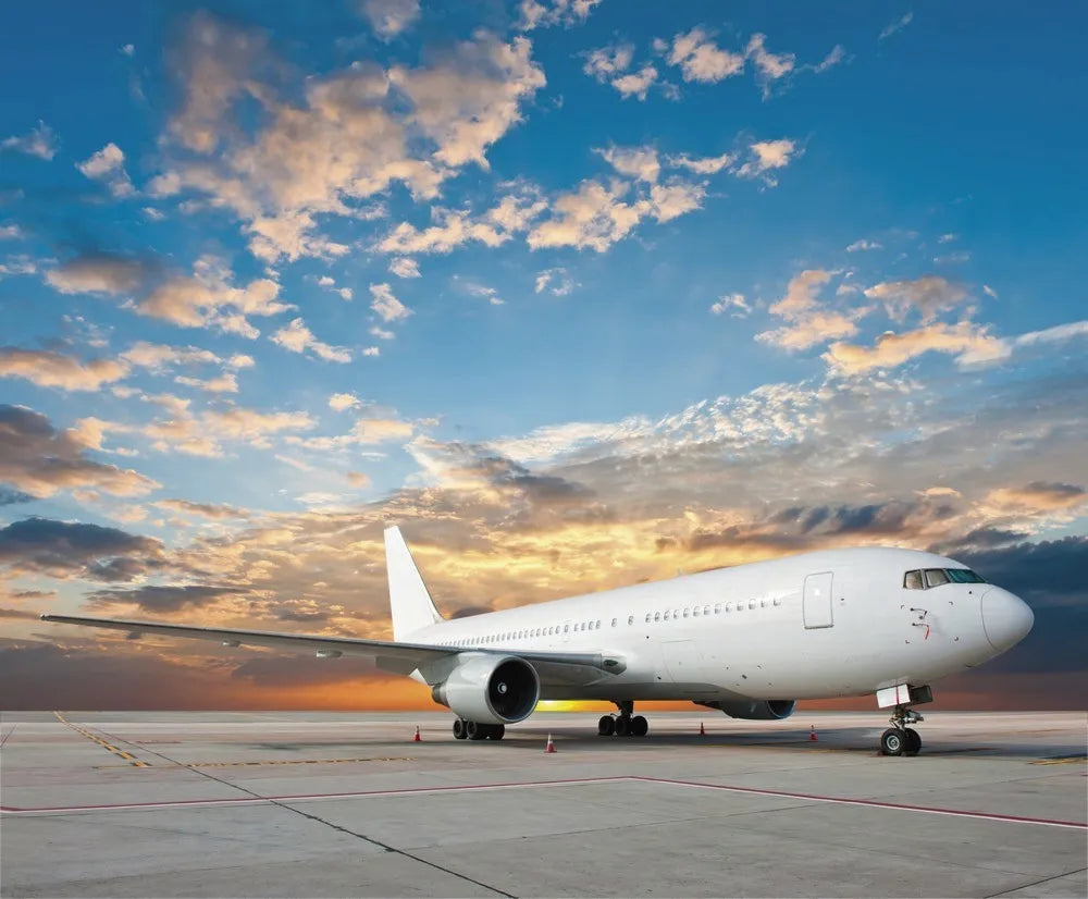 The plane