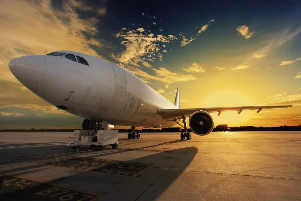 The plane