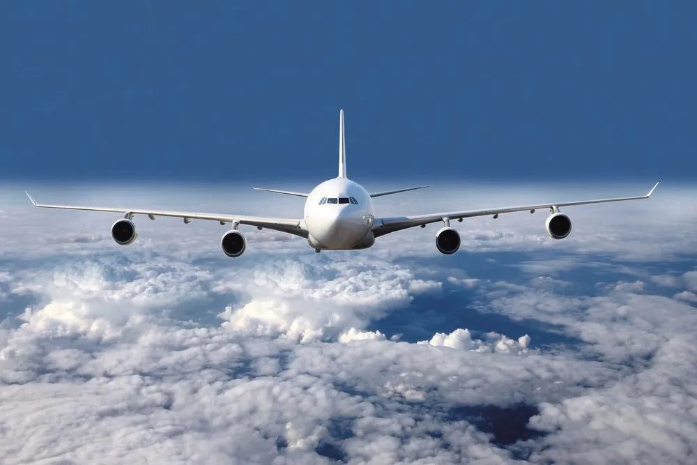 Airplane in the sky