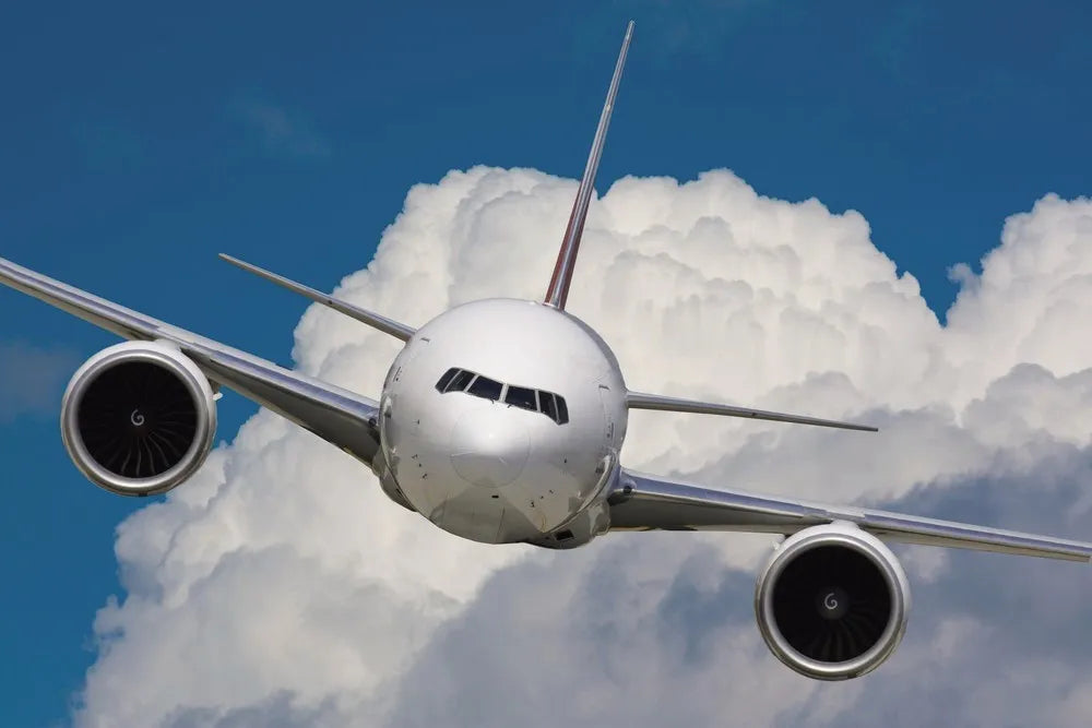The plane