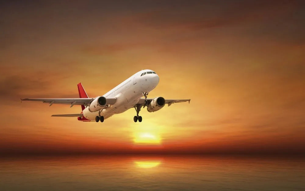 The plane at dawn