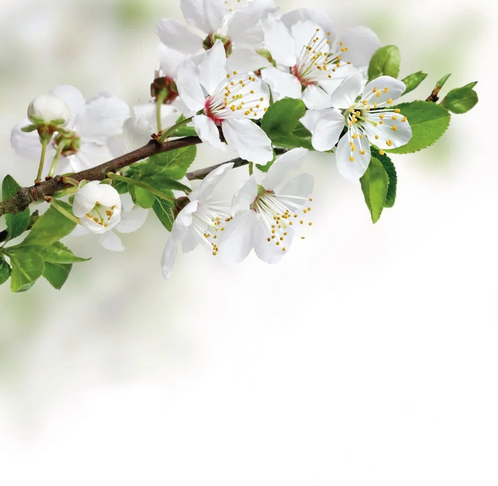 Flowering