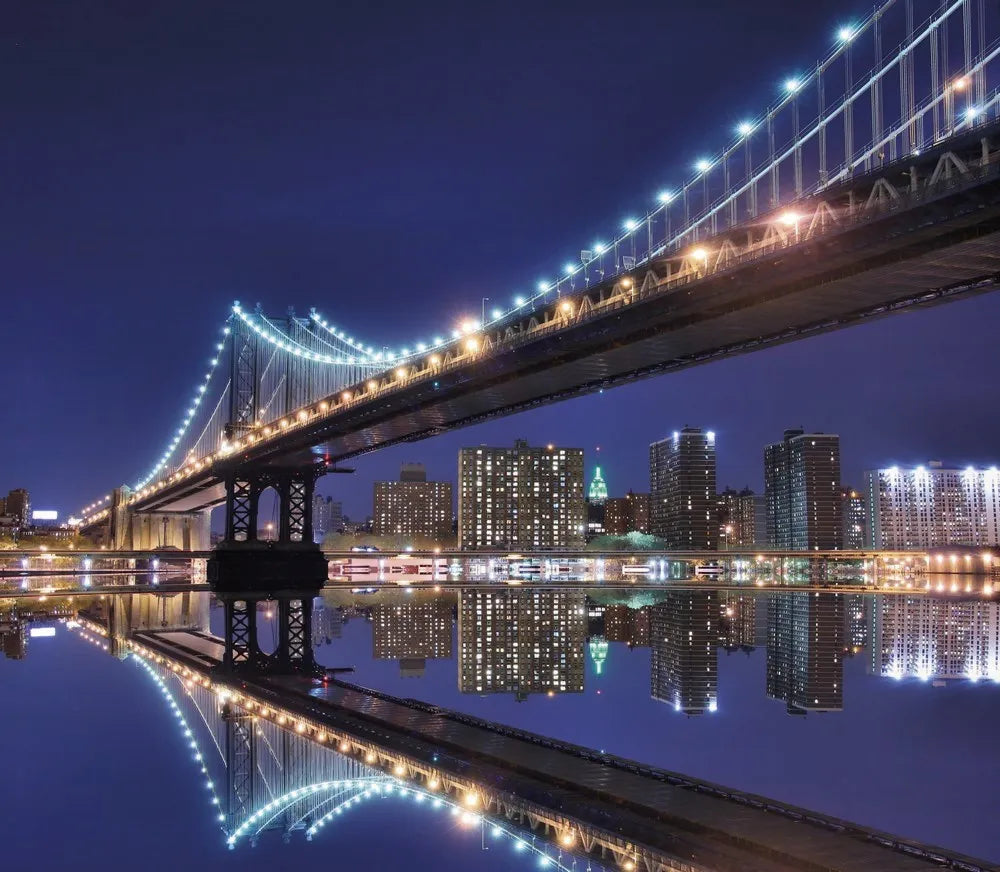 The Manhattan bridge