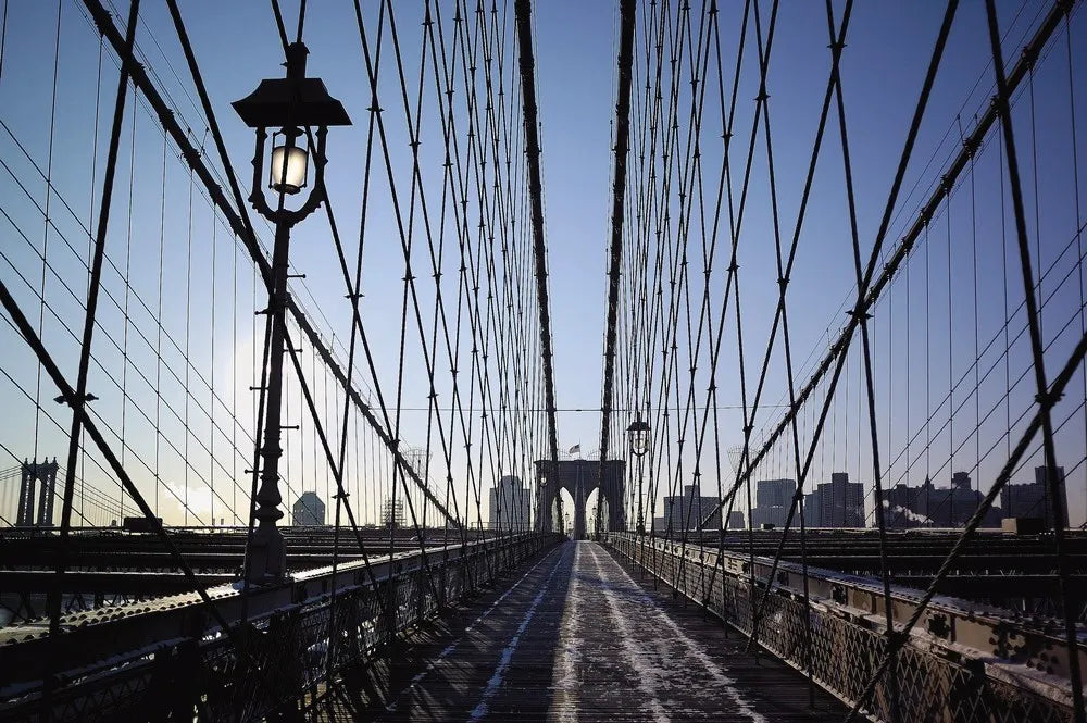 The Manhattan bridge