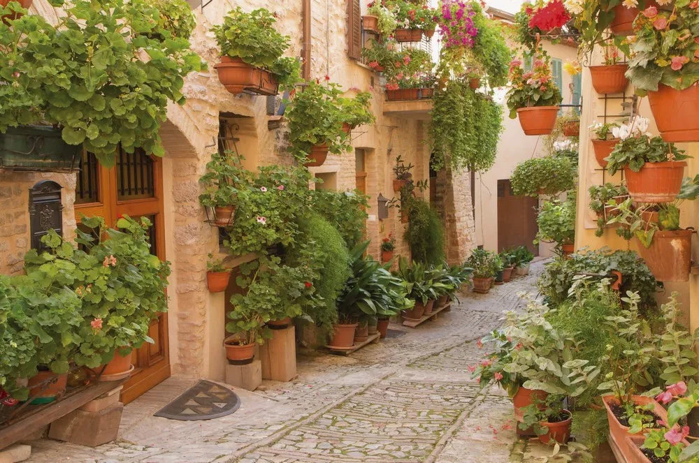 Street in Italy
