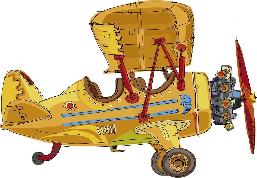 The plane