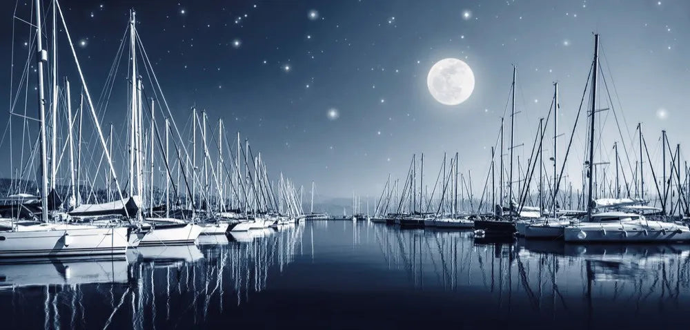 Yachts in the port