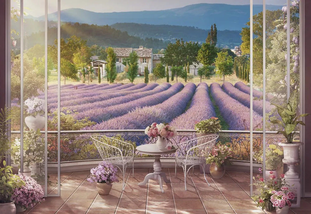 Terrace, Provence