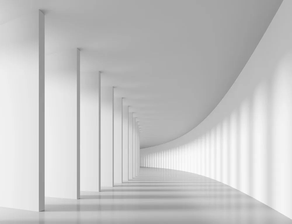 The corridor