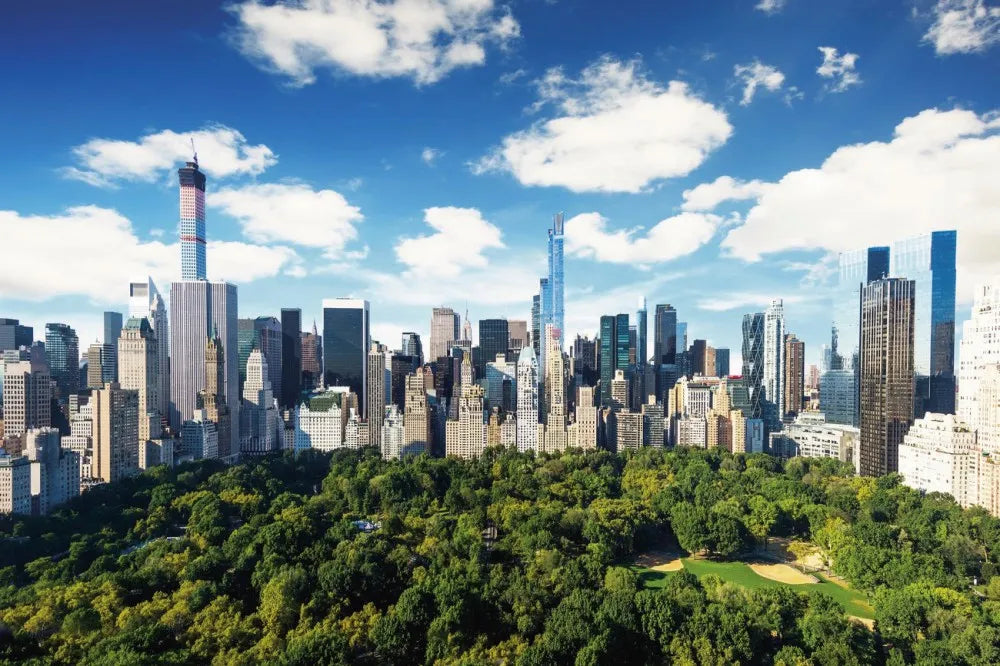 Central Park, new York