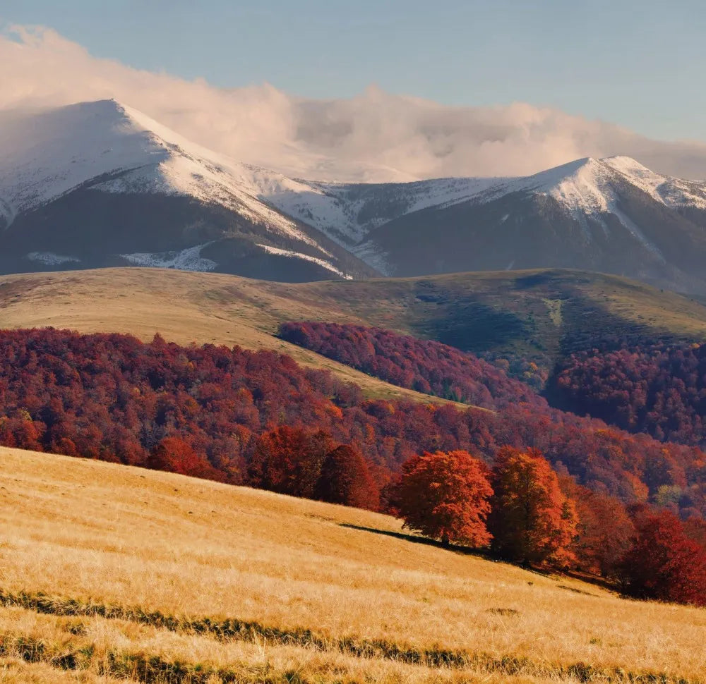 Autumn in the mountains