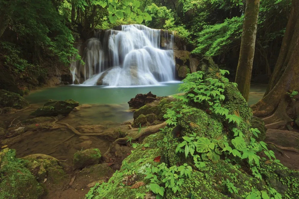 Waterfall in the forest