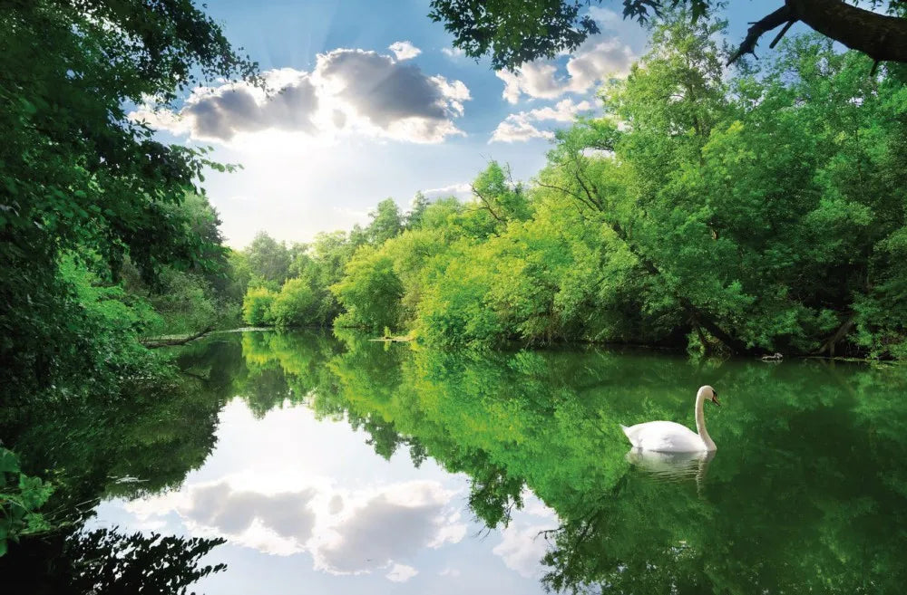 Lake of the woods