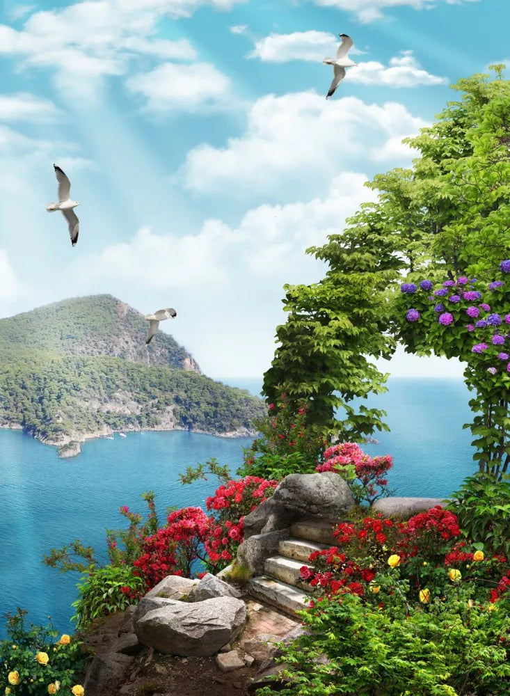 Island