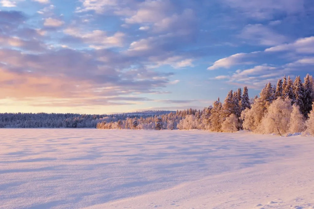 The snow-covered field