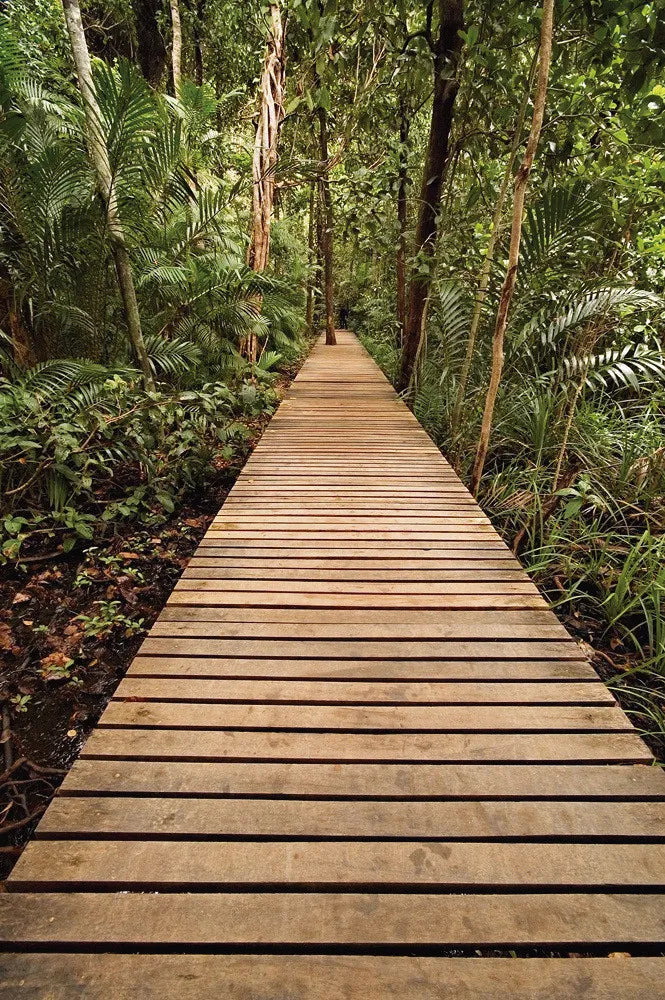 Bridge