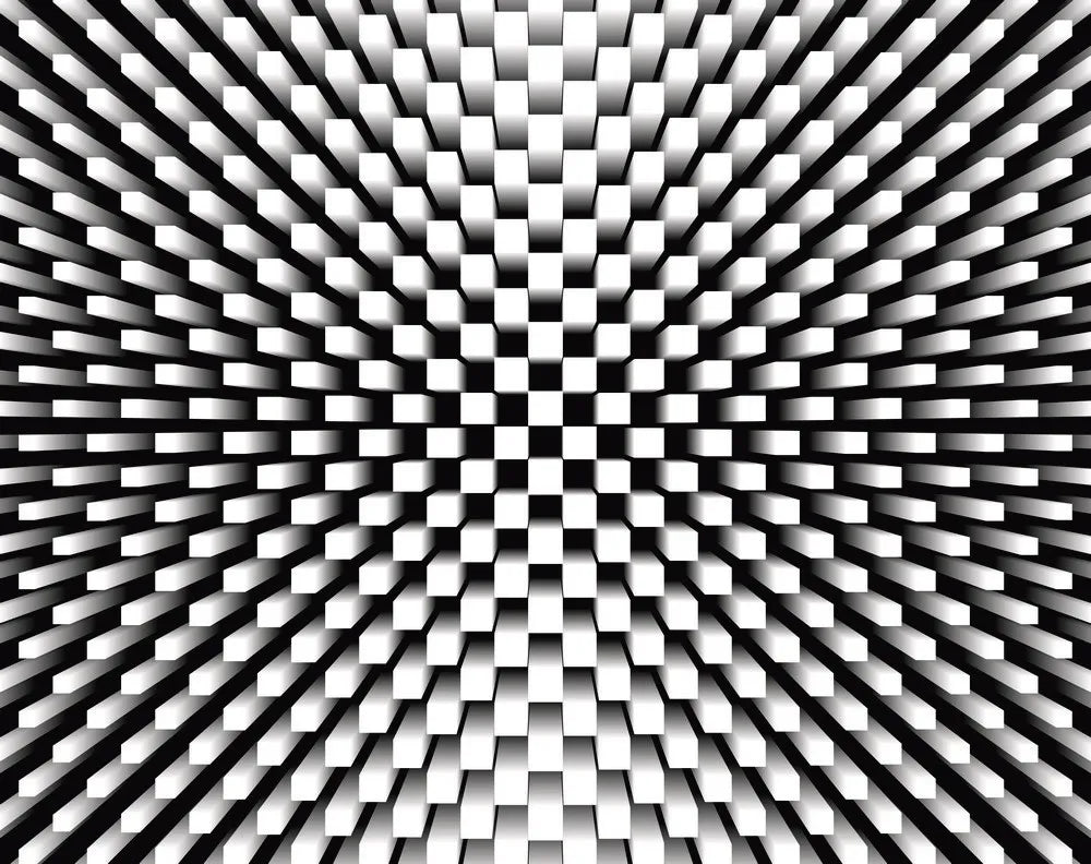 Geometric abstraction