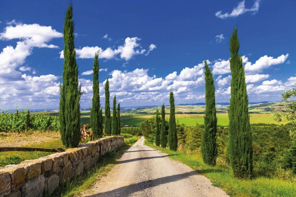 Road