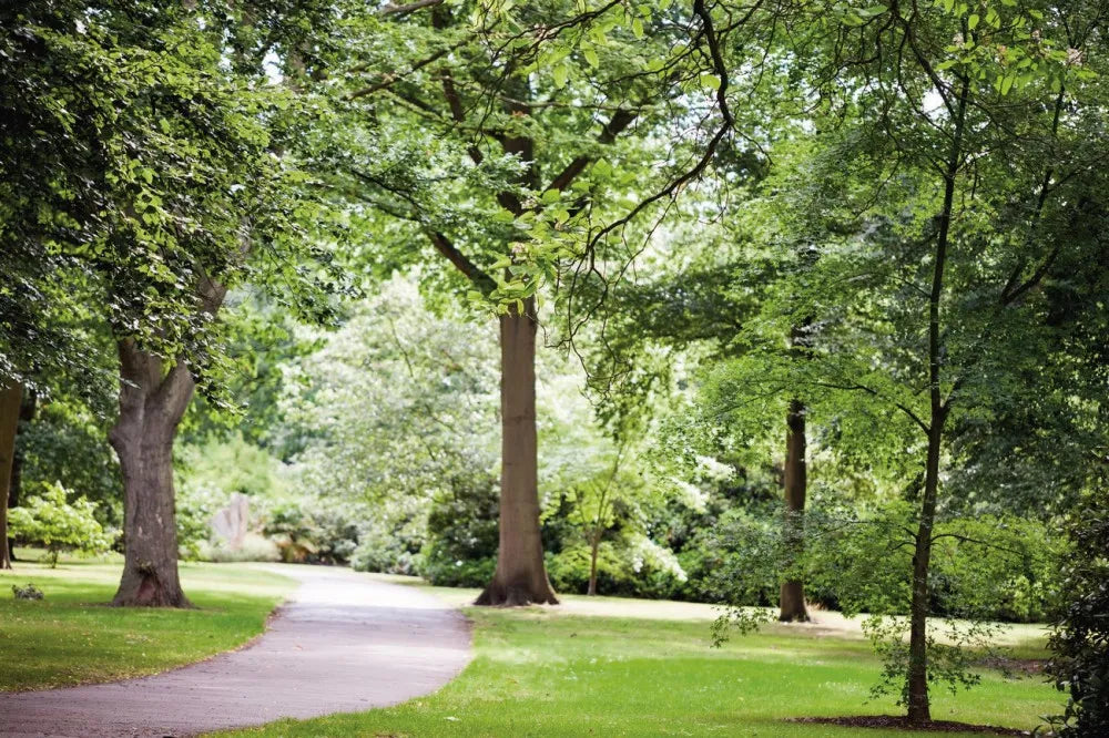 Park