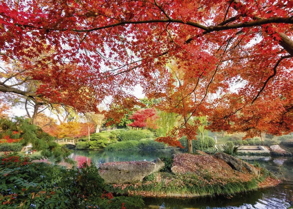 Park