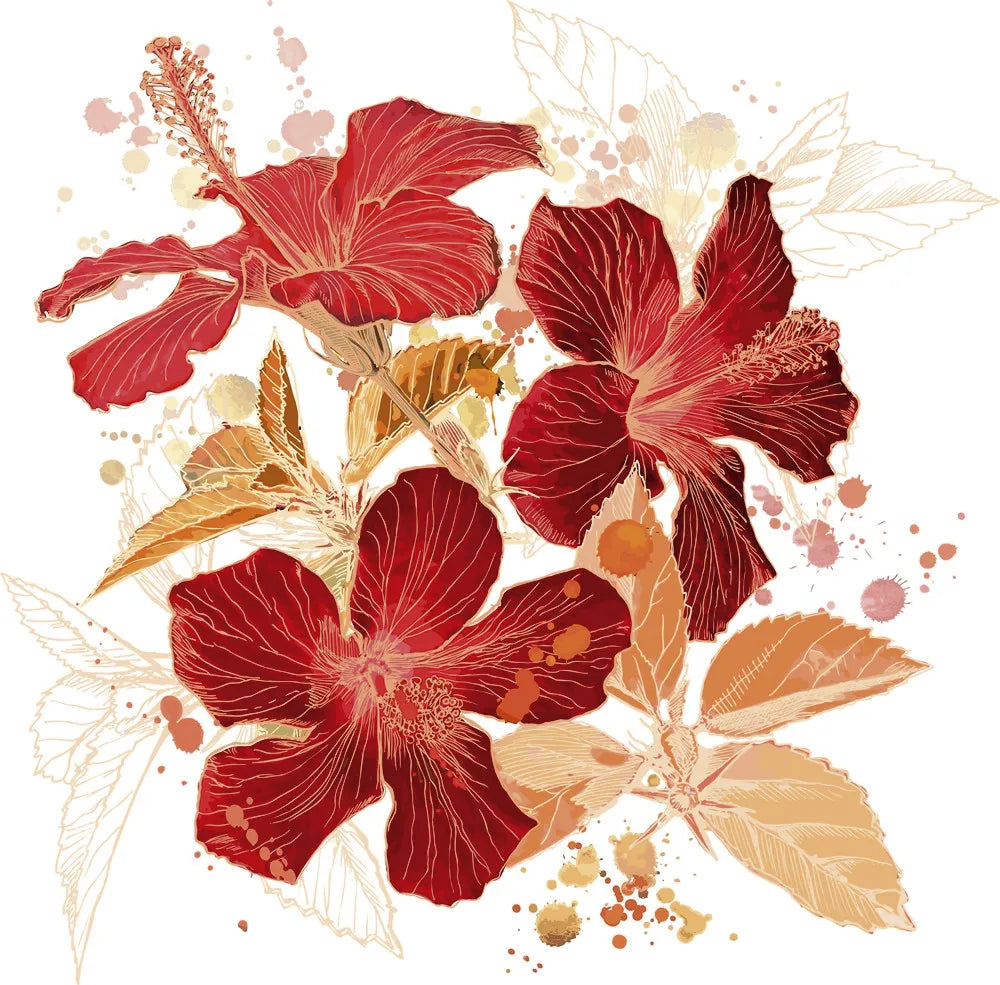 Chinese hibiscuses