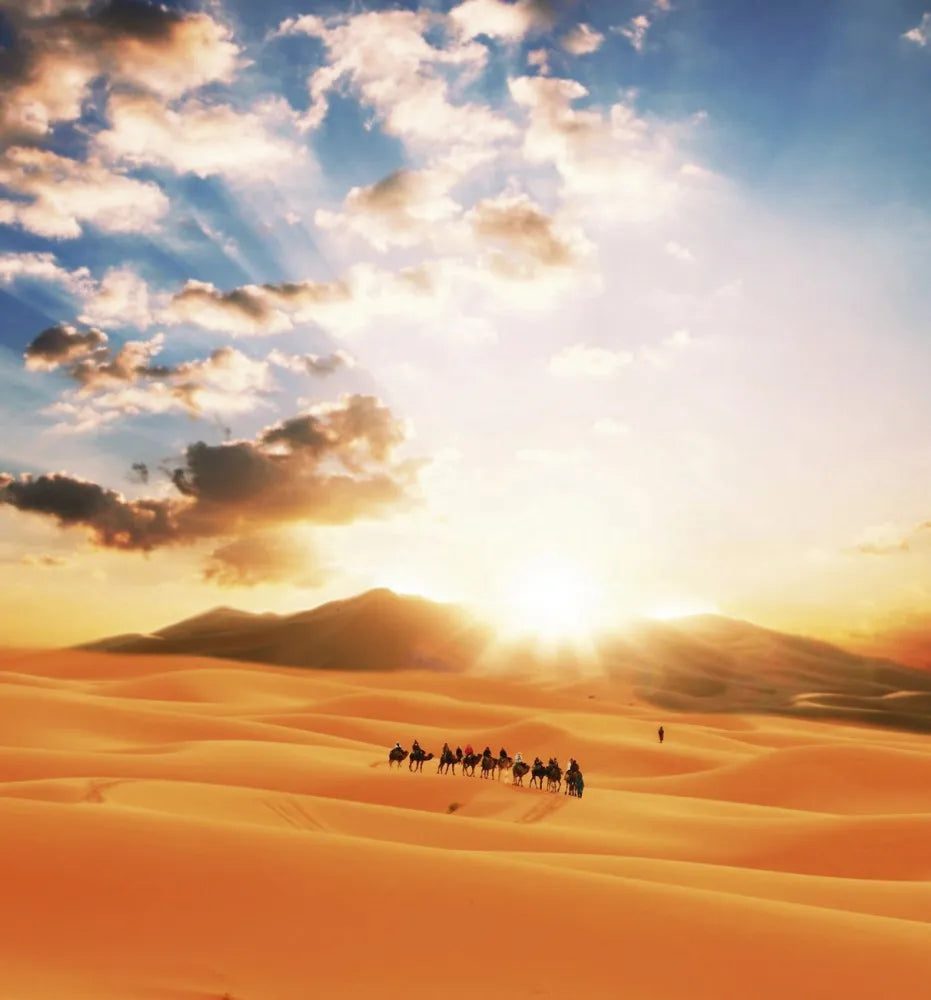 Desert