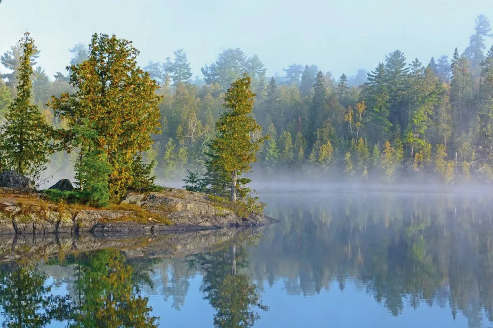 Forest river