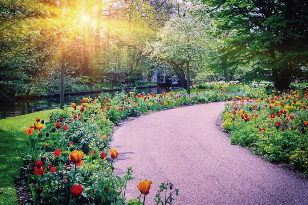 Botanical garden