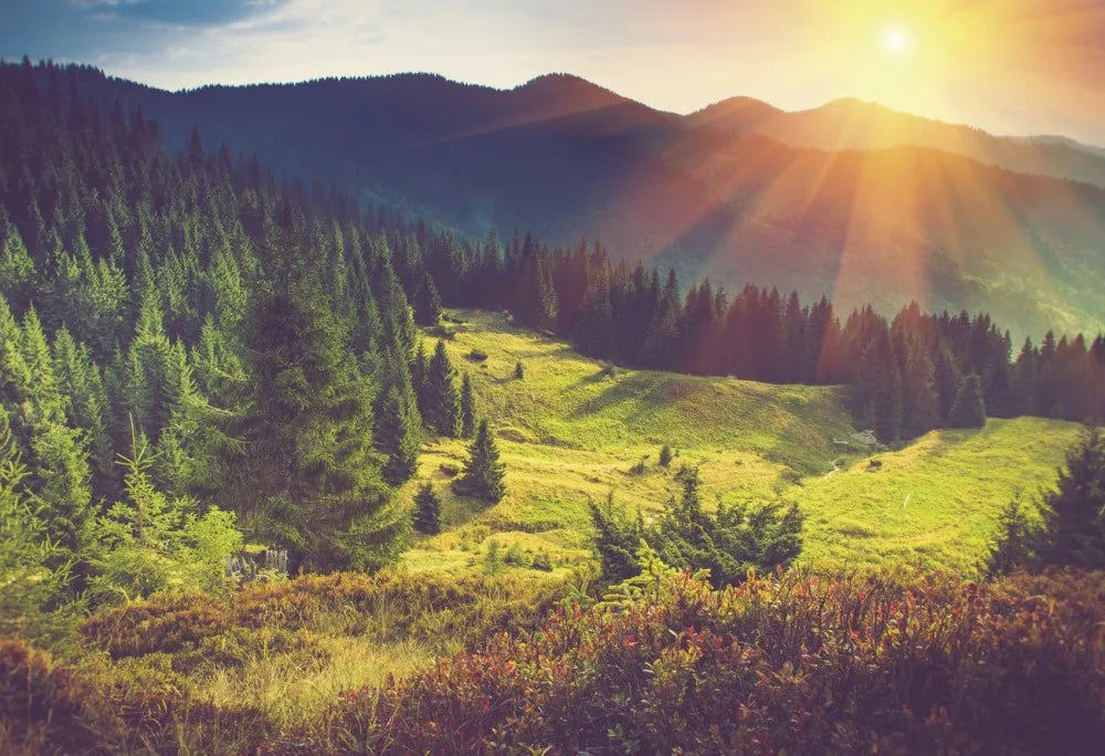 Mountains