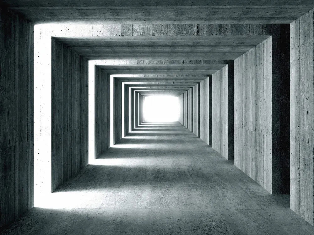The tunnel