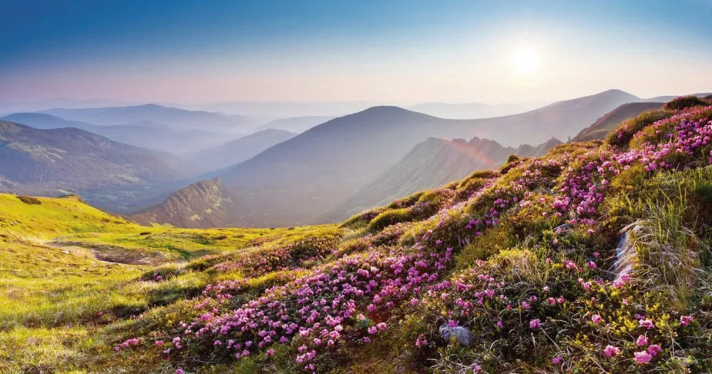 Mountains
