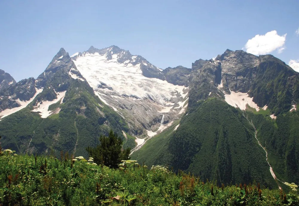 Mountains