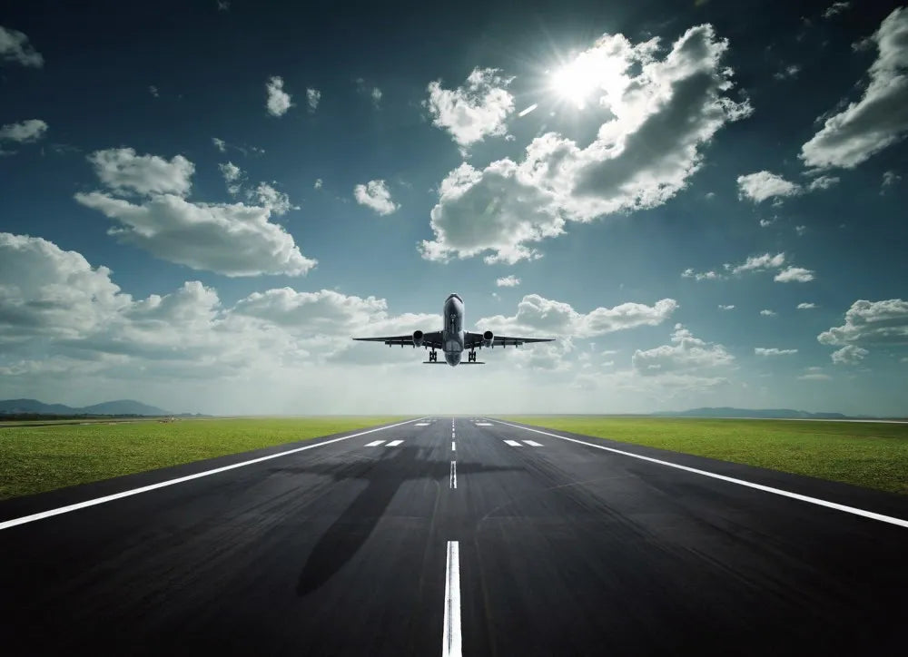 The plane