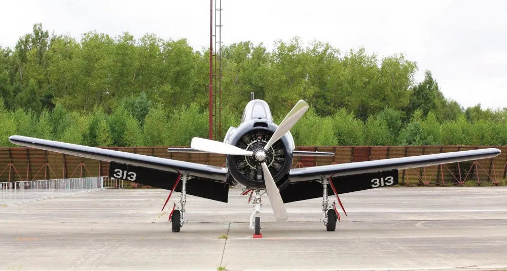 Light aircraft