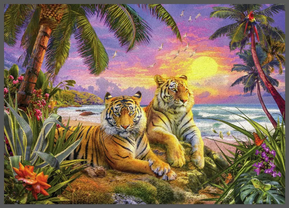 Two tigers