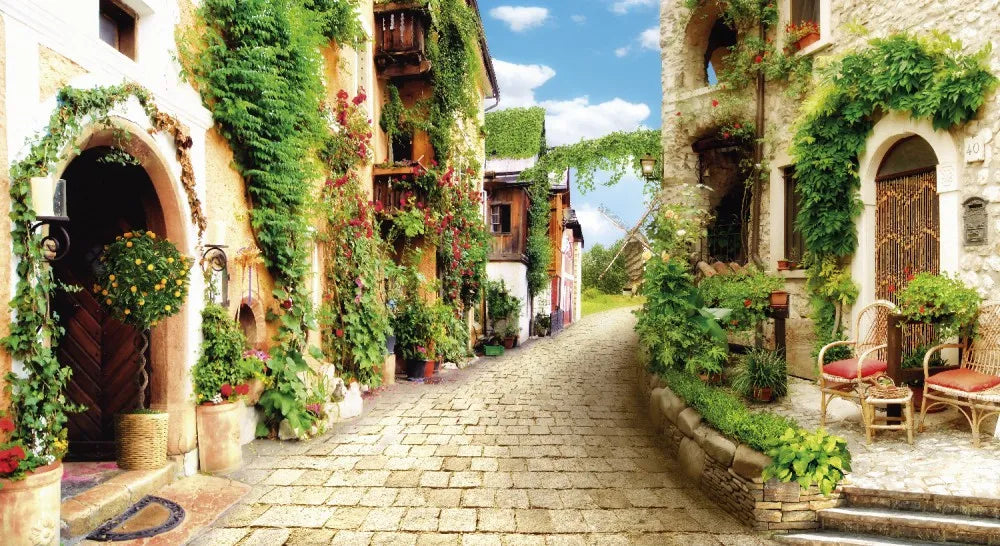 Street in the village
