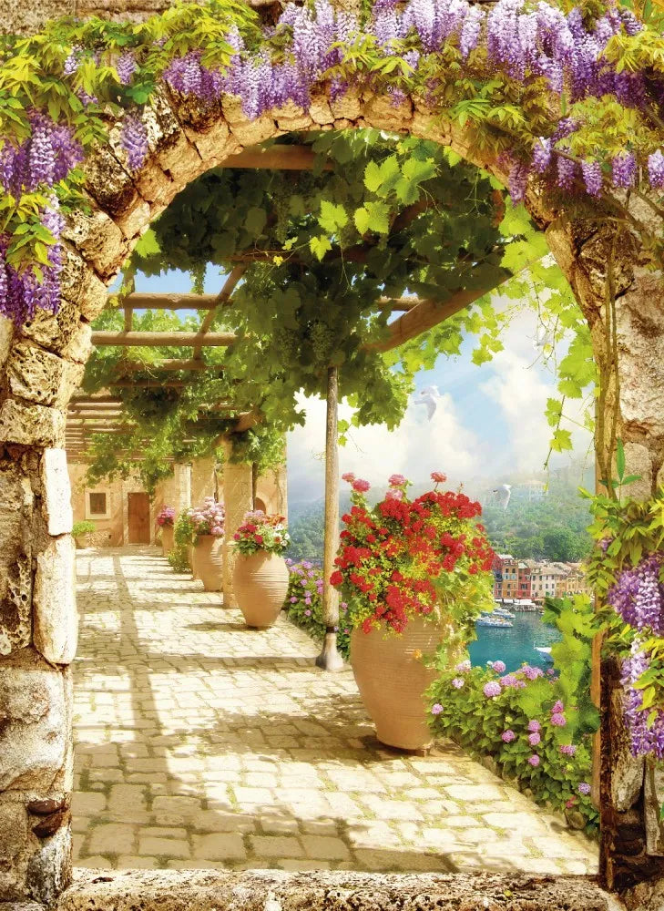 Patio in Spain