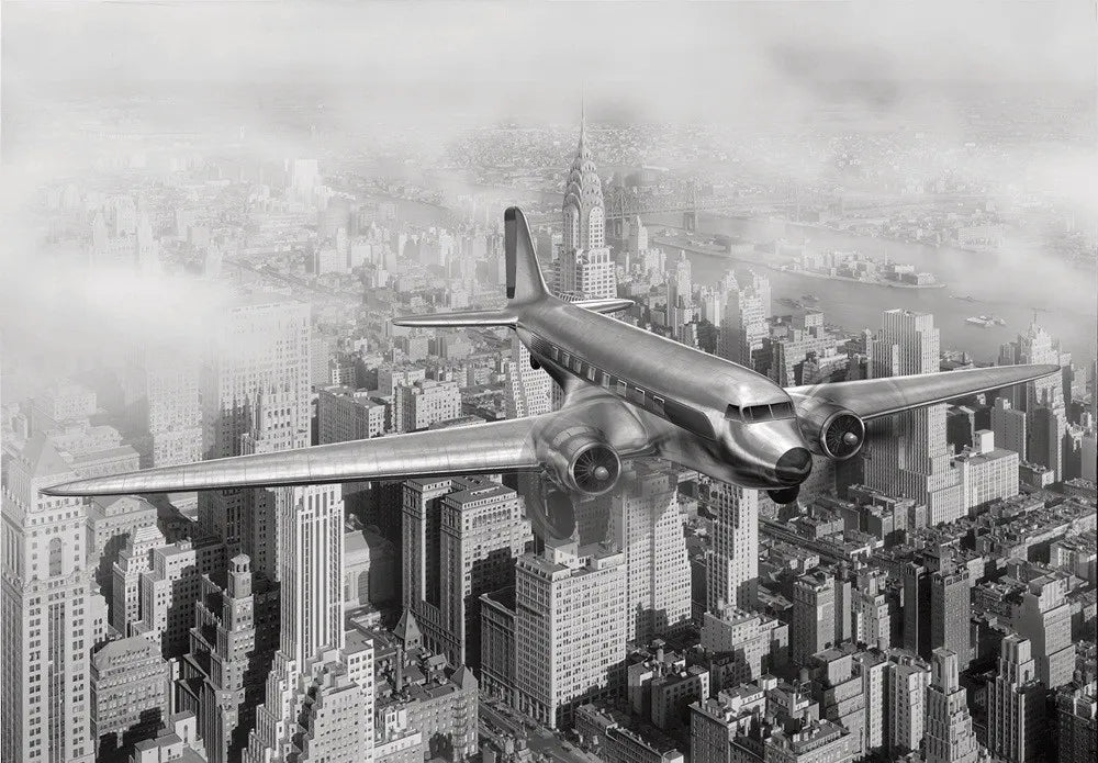 Airplane over the city